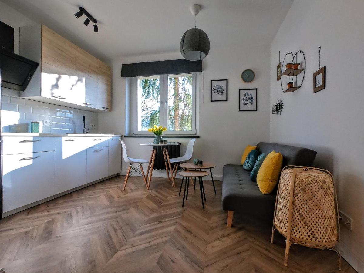 Przytulny Apartament Przy Sokolskiej - 550 Metrow Od Spodka Κατοβίτσε Εξωτερικό φωτογραφία